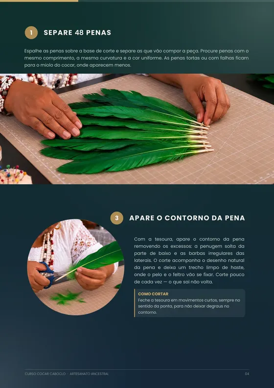 Página do curso mostrando a separação das penas